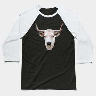 Striking head of a White Park Cow Baseball T-Shirt